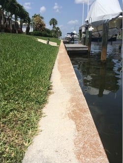 Seawall Cap Leaning Backwards